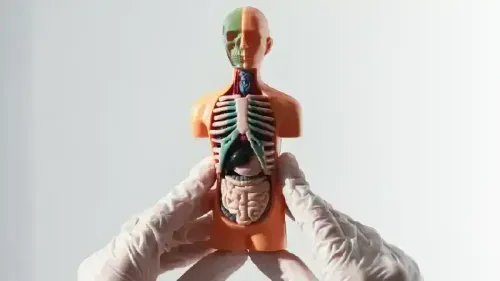 Why is Organ Transplantation Clinically Important